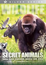 Wildlife: Secret Animals - Africa, Scandinavia, Alaska, Indonesia and India