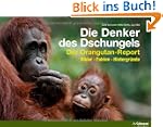Die Denker des Dschungels: Der Orangu...