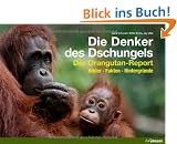 Die Denker des Dschungels: Der Orangutan-Report. Bilder. Fakten. Hintergr�nde