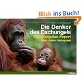 Die Denker des Dschungels: Der Orangutan-Report. Bilder. Fakten. Hintergr�nde