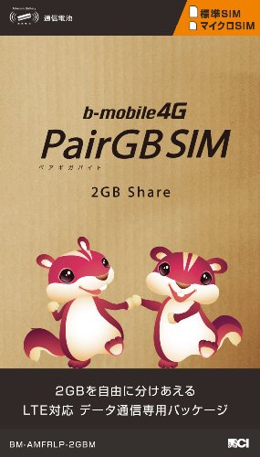 日本通信 bモバイル4G 高速定額2GBペアー・ギガバイトSIMパッケージ [標準SIM 1枚+マイクロSIM 1枚入り] BM-AMFRLP-2GBM