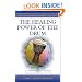 The Healing Power of the Drum: A Psychotherapist Explores the Healing Power of Rhythm (Performance in World Music Series)