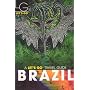 Let's Go Brazil 1st Edition (Let's Go Brazil)