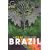 Let's Go Brazil 1st Edition
