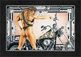 The Golden Age of Leather Vol.1 - Hell`s Angels 69/The Losers [VHS]