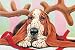 Holiday Hound Boxed Christmas Cards - 16 Cards & 17 Envelopes