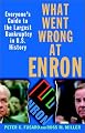 What Went Wrong at Enron: Everyone's Guide to the Largest Bankruptcy in U.S. History