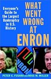 What Went Wrong at Enron: Everyones Guide to the Largest Bankruptcy in U.S. History