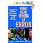 What Went Wrong at Enron: Everyone's Guide to the Largest Bankruptcy in U.S. History