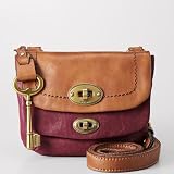 Fossil Mason Multi Small Flap Crossbody in Berry