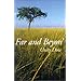 Far and Beyon'