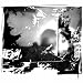 Amusement Parks on Fire [Vinyl]