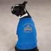 XXS Hanukkah Royalty Prince Dog Tee