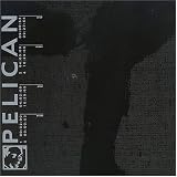 Pelican