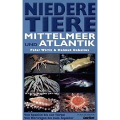 Niedere Tiere in Mittelmeer und Atlantik: Von Spanien bis zur T�rkei. Von Norwegen bis zum �quator