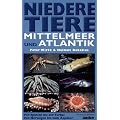 Niedere Tiere in Mittelmeer und Atlantik: Von Spanien bis zur T�rkei. Von Norwegen bis zum �quator