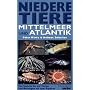 Niedere Tiere in Mittelmeer und Atlantik: Von Spanien bis zur T�rkei. Von Norwegen bis zum �quator