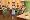 The SIMS 2: Free Time Expansion Pack (PC DVD)