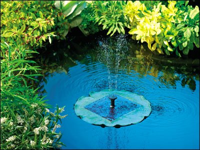 Solar Pond Fountain