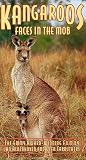 Kangaroos: Faces in the Mob [VHS] [Import]