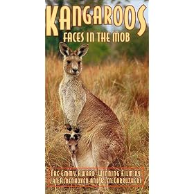 Kangaroos: Faces in the Mob [VHS]