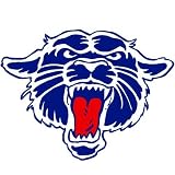 Cougar Head Temporary Tattoos Blue
