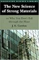 The New Science of Strong Materials or Why You Don't Fall Through the Floor