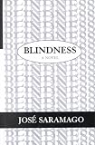 Blindness (Thorndike Press Large Print Basic Series)