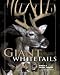 Giant Whitetails: A Lifetime of Lessons