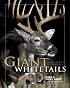 Giant Whitetails: A Lifetime of Lessons
