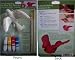 Cardinal Fly Thru Bird Window Ornament - Paint Kit