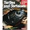 Learn about the Greek Turtles