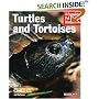 Turtles and Tortoises (Complete Pet Owner's Manual)