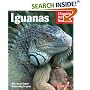 Iguanas (Complete Pet Owner's Manual)
