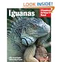 Iguanas (Complete Pet Owner's Manual)