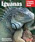 Iguanas (Complete Pet Owner's Manual)