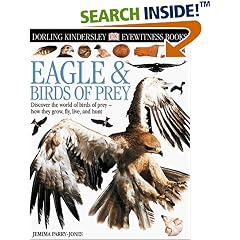 Eyewitness: Eagles & Birds of Prey