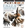 Eagle & Birds of Prey (DK Eyewitness Books)