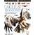 Eagles and Birds of Prey (DK Eyewitness Books)