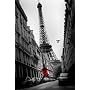 La Veste Rouge (The Red Jacket, Paris) Art Poster Print - 24" X 36"