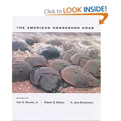 The American Horseshoe Crab