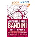 Wait Until Spring, Bandini