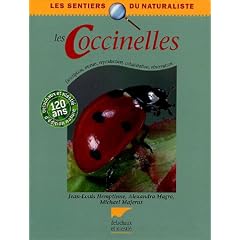 Les coccinelles