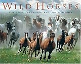 Wild Horses 2008 Deluxe Wall Calendar