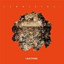 VERMILION.(DVD付)（ジャケットA）