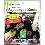Pack of 10 Asparagus Roots - Variety 