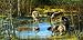 Treading on Thin Ice 1000pc Jigsaw Puzzle by John Dawson