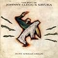 The Best Of Johnny Clegg & Savuka : In Ma African Dream