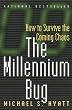 The Millennium Bug