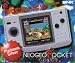 Neo Geo - Platinum Silver (Neogeo)